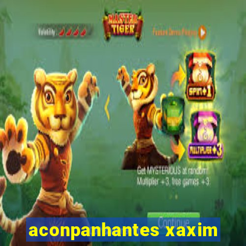 aconpanhantes xaxim